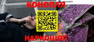 кокс Аргун