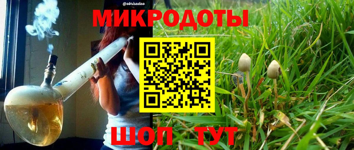 Псилоцибиновые грибы GOLDEN TEACHER  Вход с VPN  Галлюциногенные грибы Psilocybine cubensis  как найти   Будённовск 