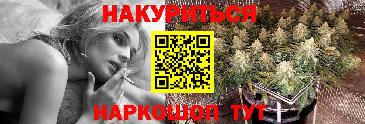 Будённовск  Марихуана конопля  МАРИХУАНА ГИДРОПОН  Вход с VPN 